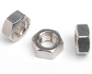 Stainlesss Steel Hex Nut