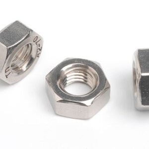 Stainlesss Steel Hex Nut
