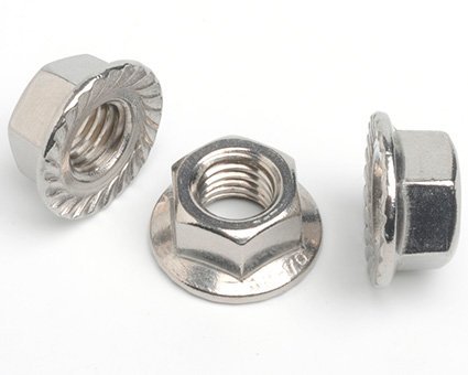 Stainless Steel Flange Hex Nut in Delhi