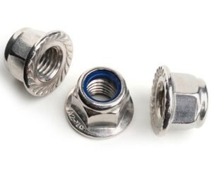 Stainless Steel Flange Nylock Nut