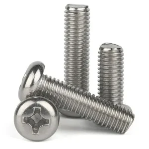 Ss Pan Phillips Head Screws