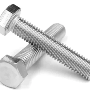 Stainless Steel 304 Hex Bolt