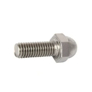Stainless Steel Dome Bolt